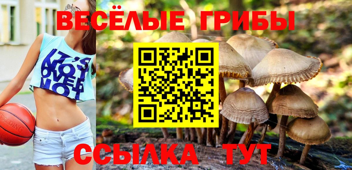 Галлюциногенные грибы Psilocybine cubensis  Псилоцибиновые грибы GOLDEN TEACHER  Вход с VPN  Амурск 